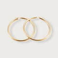 Jenny Bold Hoops